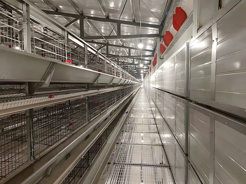 層疊式自動化蛋雞養(yǎng)殖設備